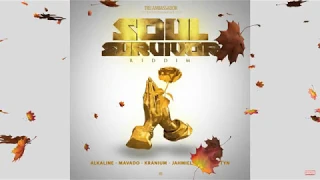 Soul Survivor Riddim Mix    New Edition