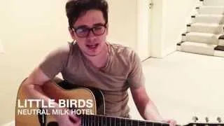 Little Birds (Neutral Milk Hotel) cover