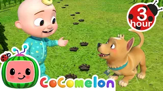 Where Has My Little Dog Gone? | | Cocomelon - Nursery Rhymes | Fun Cartoons For Kids