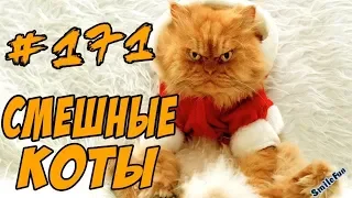 Я РЖАЛ ПОЛ ЧАСА - СМЕШНЫЕ КОТЫ ДО СЛЁЗ 2018 - ПРИКОЛЫ С КОТАМИ И КОШКАМИ