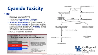 Keyword Review: Temperature and Toxicity - Dr. Schell