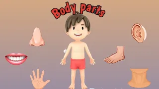 Come let's learn body parts😍🙈/learn parts of the body with pictures/تعلم اعضاء الجسم بالإنجليزي بصور