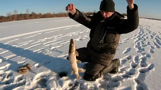 Хорошая рыбалка ,на жерлицы!