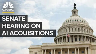 LIVE: Senate Government Affairs Committee holds a hearing on  AI acquisitions — 09/14/23