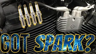 How to change the spark plugs in your Harley Davidson M8 Softail - featuring my FXLRS