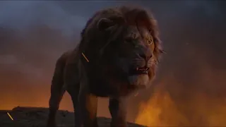 Lang lebe der König - Simba, Der König der Löwen AMV