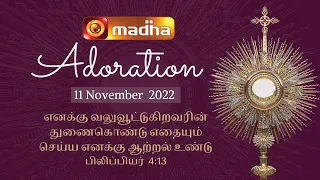 🔴 LIVE 11 November  2022 Adoration 11:00 AM | Madha TV