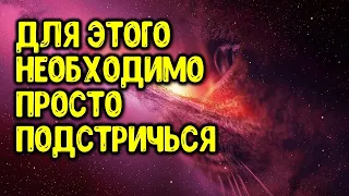 Для этого необходимо просто подстричься