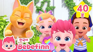 야옹! 아기 고양이 모음집🐱 | 동물 동요 | 베베핀 Bebefinn - 키즈 인기 동요