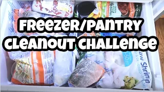 COOK WITH ME | FREEZER CLEAN OUT CHALLENGE | LARGE FAMILY WHAT'S FOR DINNER