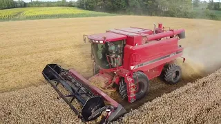 Real Farming Case IH 2166 Axial-Flow -AgriBudai-