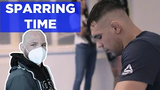 MMA Vlog 63 - K1 Sparring mit UFC Kämpfer und Road to EMC [Aleksandar Rakic/Michael Rirsch]