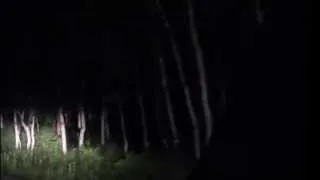 Bigfoot sighting near Sundance Utah - zoomed - stabilized - original