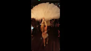 Masquerade, fancy dress party feather fan dance.