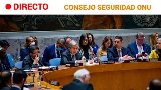 ONU-CONSEJO SEGURIDAD: Debate sobre la SITUACIÓN de ORIENTE MEDIO | RTVE Noticias