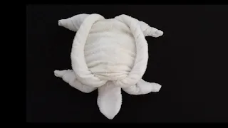 Towel Folding Art -Tortoise