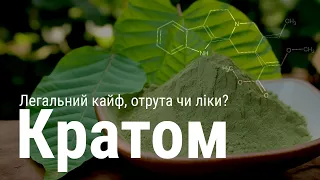 Кратом: легальний кайф, отрута чи ліки? Позитивні та негативні ефекти вживання | "Медіа-експерти"