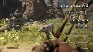 Прохождение Far Cry Primal #9 Приручаем зверей