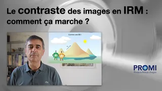 Le contraste des images en IRM : comment ça marche ?