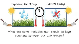 The Scientific Method Part 3: Setting up an Experiment