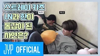 여름에도 춥고 겨울에도 추운 침대의 새 주인은?｜Stray Kids: 제 9구역 시즌4 EP.05