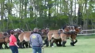 Anspannexperiment mit 28 Titanen der Rennbahn gelungen