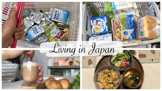 vlog | Daiso Shopping Haul, Top Up Grocery for the Week, Make Oyakodon for dinner 🍽