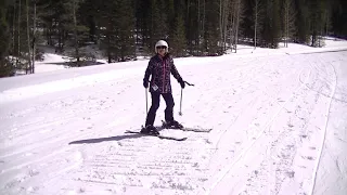 Beginner Ski -Side Stepping