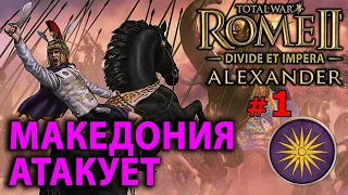 Total War: Rome 2 - Александр Великий (Divide et Impera) №1 - Македония атакует!