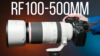 Canon RF100-500mm f4.5-f7.1 Hands On Review in 4k - Awesome telephoto zoom!