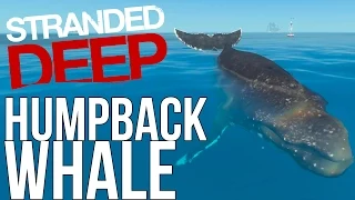 Let's Play Stranded Deep Gameplay - Humpback Whale! - Whales Great White - Stranded Deep Part 8