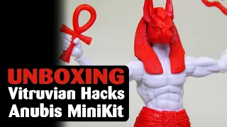 Unboxing | Vitruvian Hacks Anubis Mini Kit