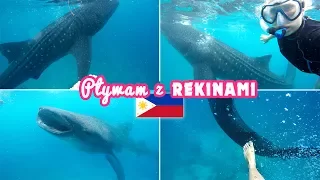 Filipiny: Pływam z największymi rekinami na świecie! 🌊 Agnieszka Grzelak Vlog