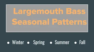 Largemouth Bass Seasonal Patterns