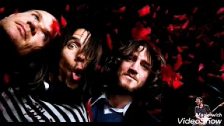 RHCP - scar tissue live solos - John Frusciante