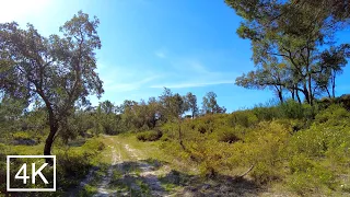 Countryside Portugal - APOSTIÇA - Walking in the nature, Crickets sounds for sleeping ASMR