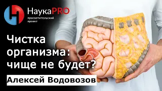 Чистка организма: чище не будет? | Большая лекция – врач-токсиколог Алексей Водовозов | Научпоп