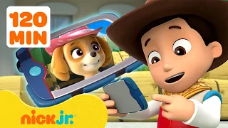 Patrulha Canina | Ryder Chama os Filhotes da Patrulha Canina para a Torre de Observação! | Nick Jr.