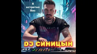 DJ СИНИЦЫН   Я встретил вас — и все былое