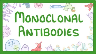 GCSE Biology - Monoclonal Antibodies #40