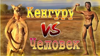 КЕНГУРУ🦘 vs ЧЕЛОВЕК🏋/Kangaroo vs human/ потасовка туриста с кенгуру попала на 📹