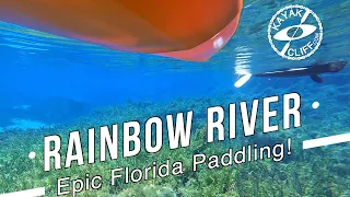 Rainbow River Kayaking An Epic Florida Paddling Trail