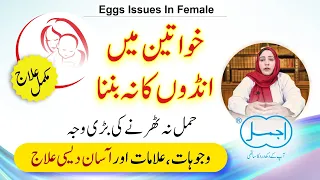 No Egg Production In Female | Female Infertility | Egg na banne ki waja aur Desi ilaj