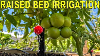 The BEST DIY Raised Bed Garden DRIP IRRIGATION Install Guide