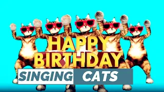 SINGING CATS HAPPY BIRTHDAY