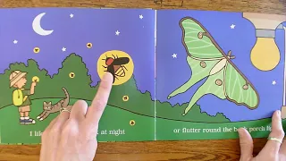 Read Aloud: I Love Bugs