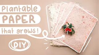 DIY seeded paper - Make your own recycled paper that grows into flowers