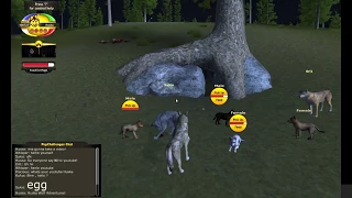 Playing WolfQuest with youtube friends!: Ep 1