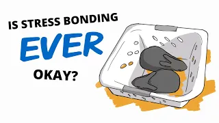 Is stress bonding really okay? (When to use stress bonding techniques)