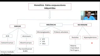 GENERALIDADES DE LAS ANEMIAS HEMOLÍTICAS